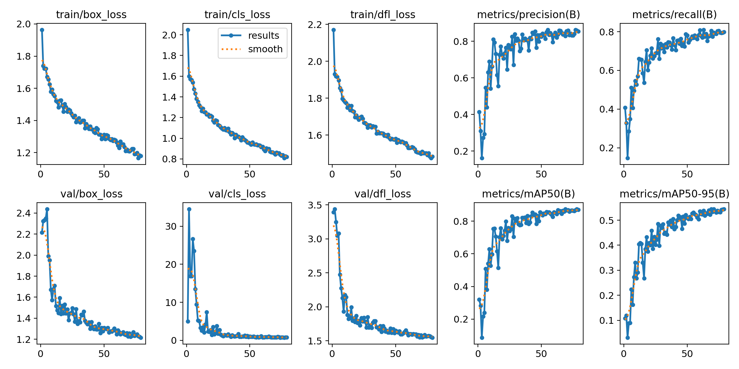 Training and Validation Losses