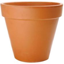 Plant-Pot3_jpg.rf.357cd7de7b5dfe275b340f285a341701.jpg