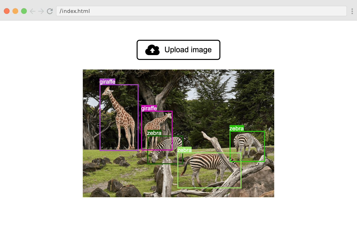 js-detection-interence-zebra.png