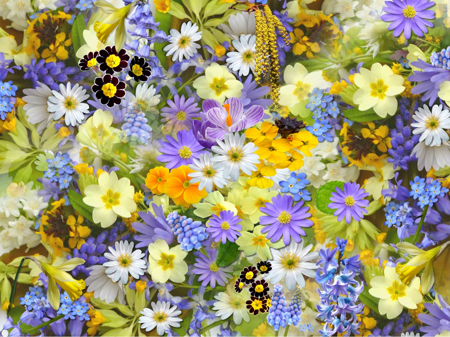 a_background_of_a_bouquet_of_flowers.png