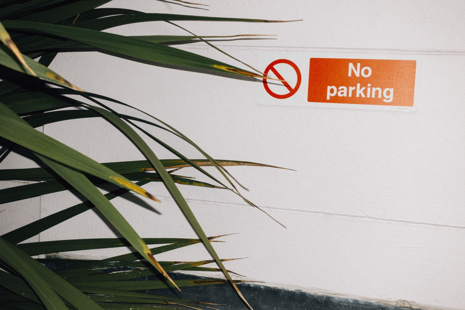 no_parking_sign_on_white_wall.png