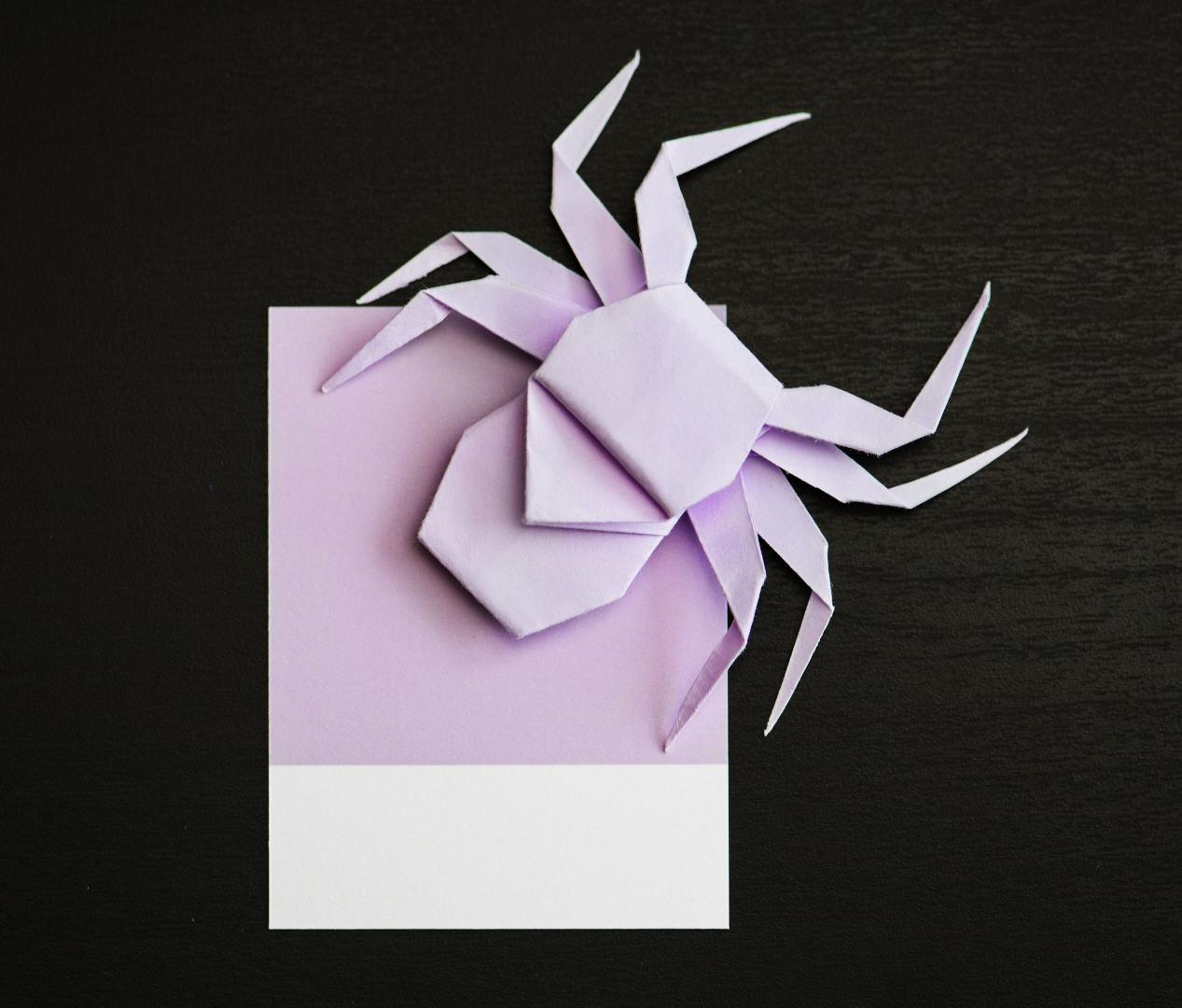 origami_spider_on_a_card.png