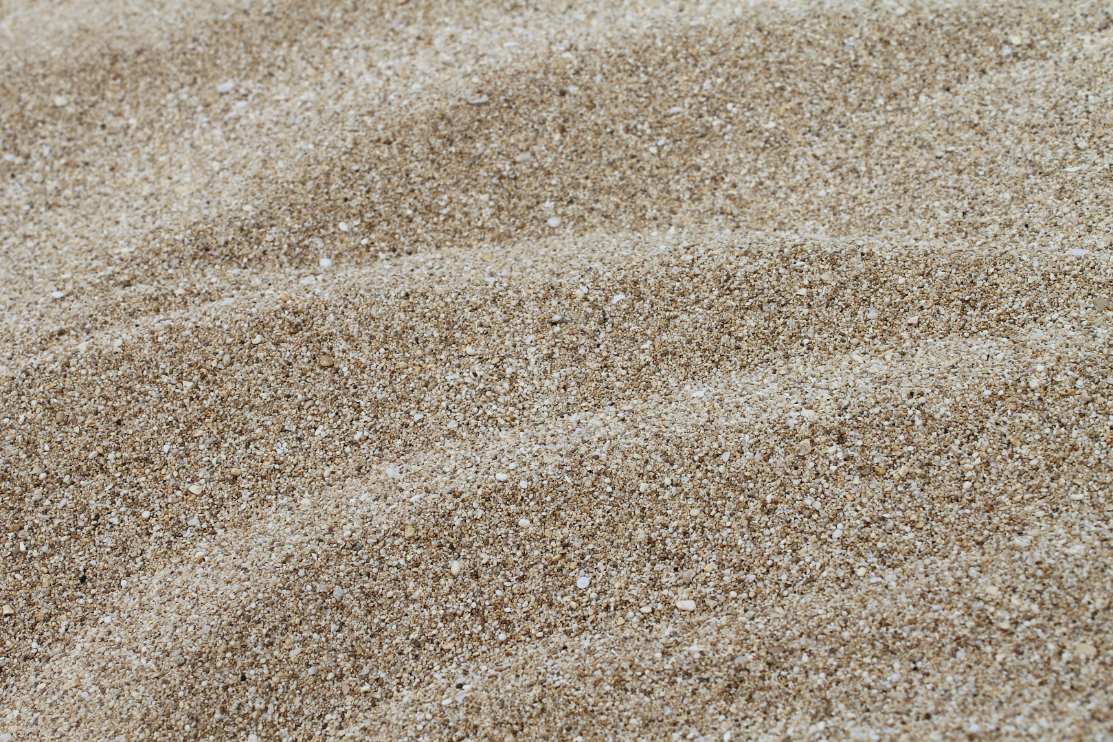 sand_texture_on_the_beach.png