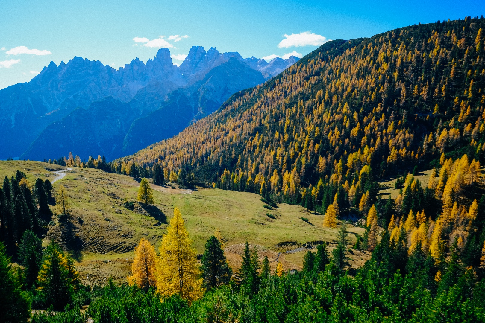 the_alpine_meadows_of_the_dolomites.png