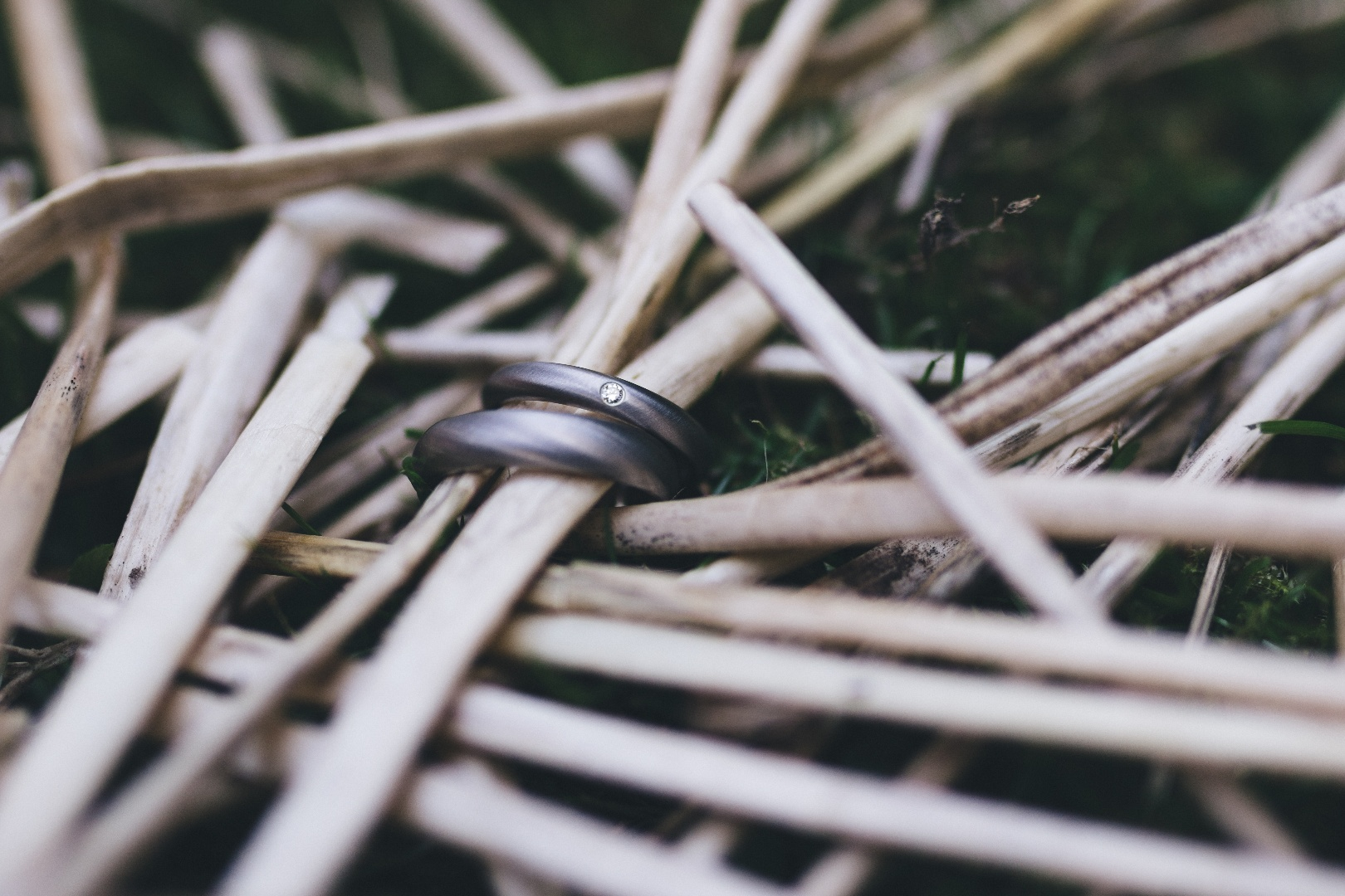 wedding_rings_in_a_pile_of_straw.png