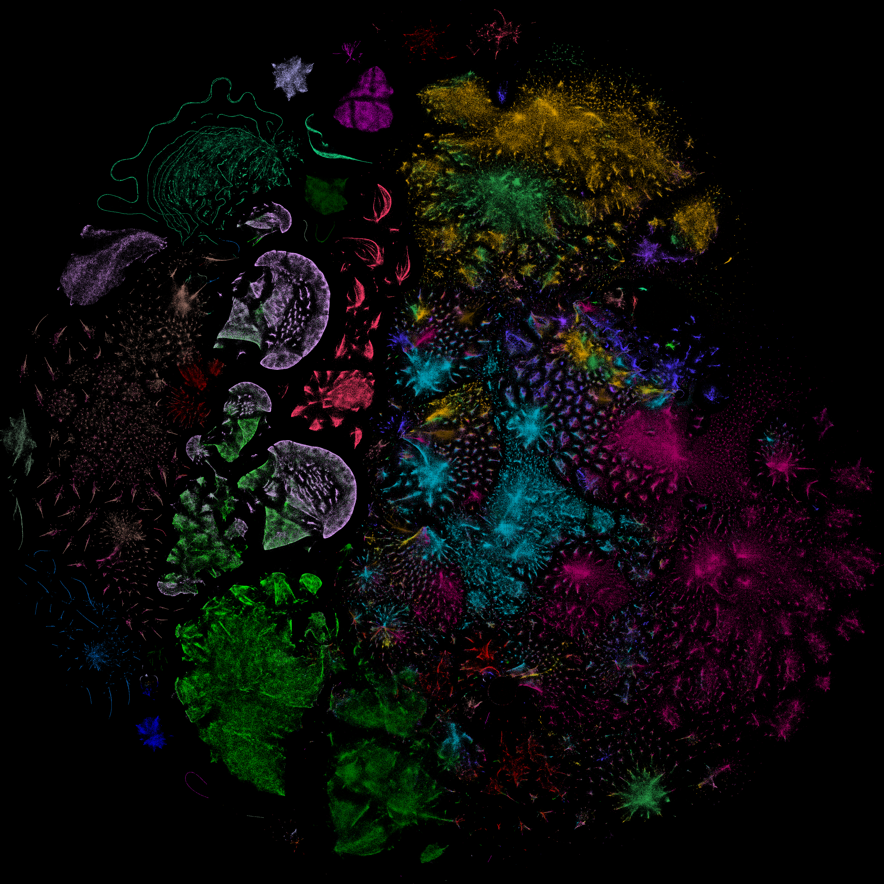 ROOTS Dataset Scatterplot