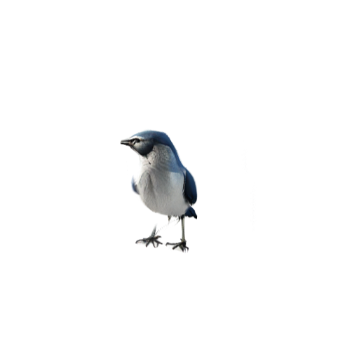 a_bird.png