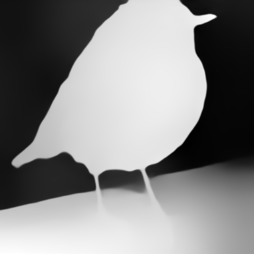 bird_depth.png