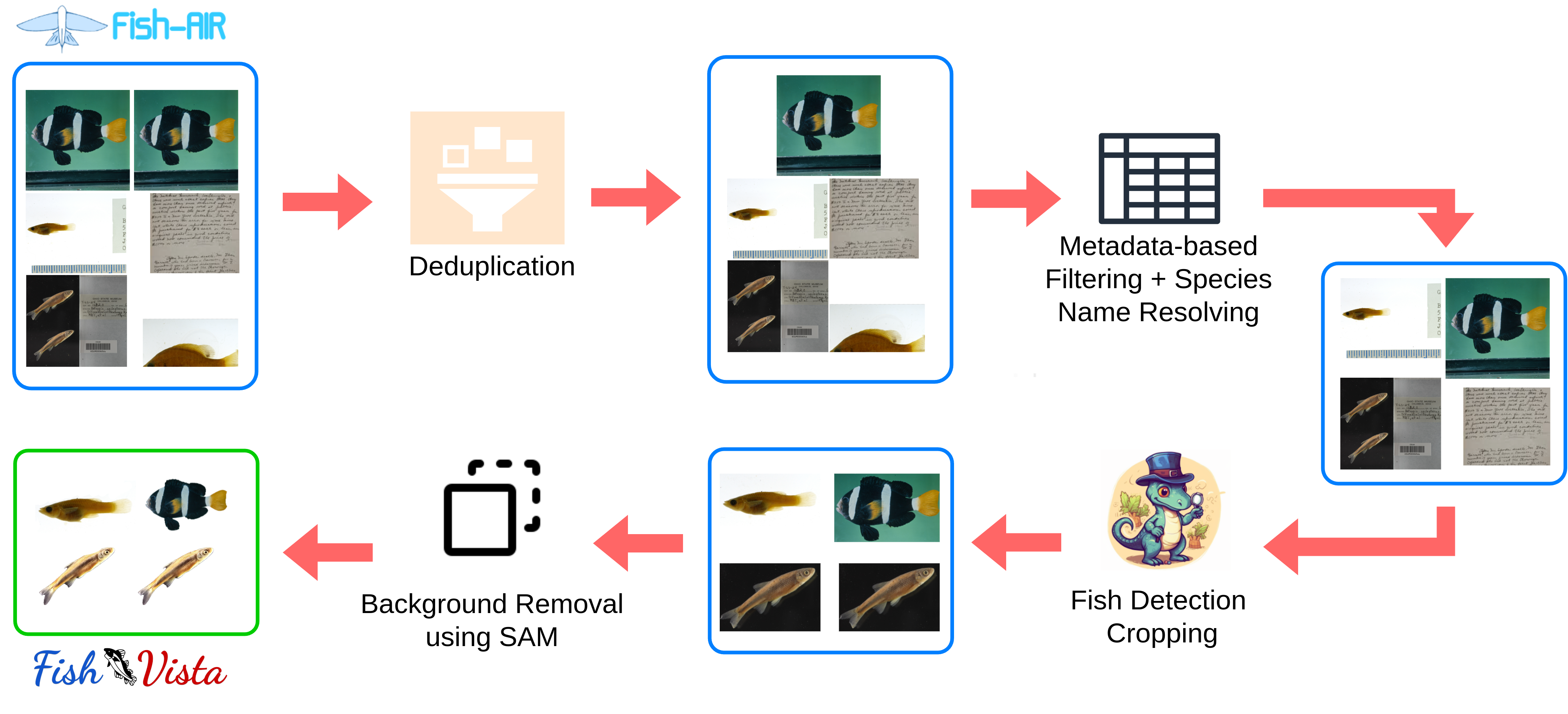 DataProcessingPipelineFishVista.png
