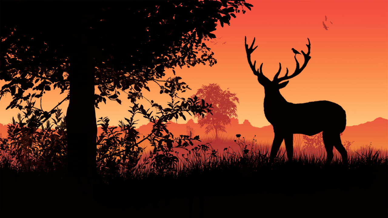 Deer Sunset Minimalist .jpg