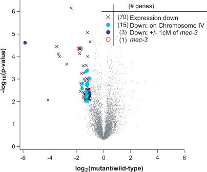 PMC1183521___pgen.0010002.g002.jpg