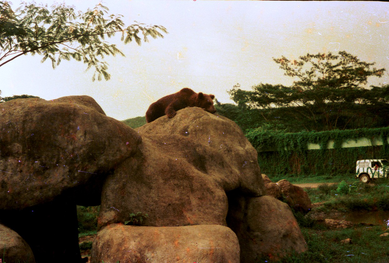 19880215B-38-tama-safari-bogor.preview.png