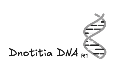 dna-r1-logo.png