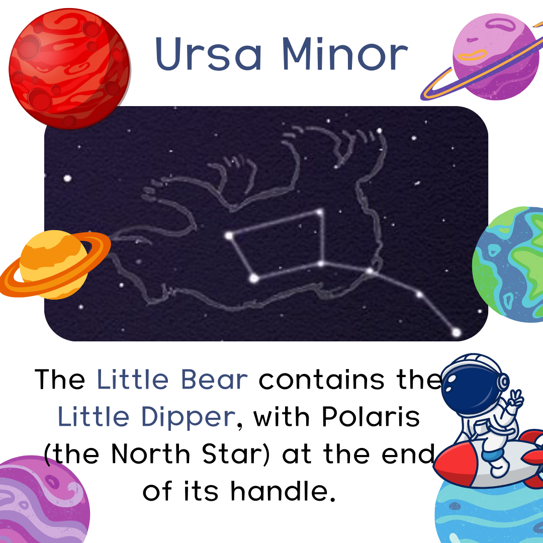 ursa minor.png