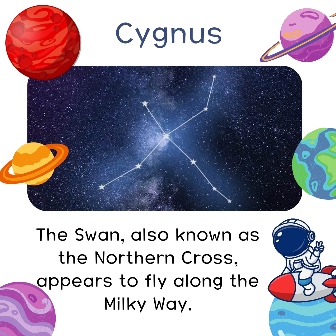 Cygnus.png