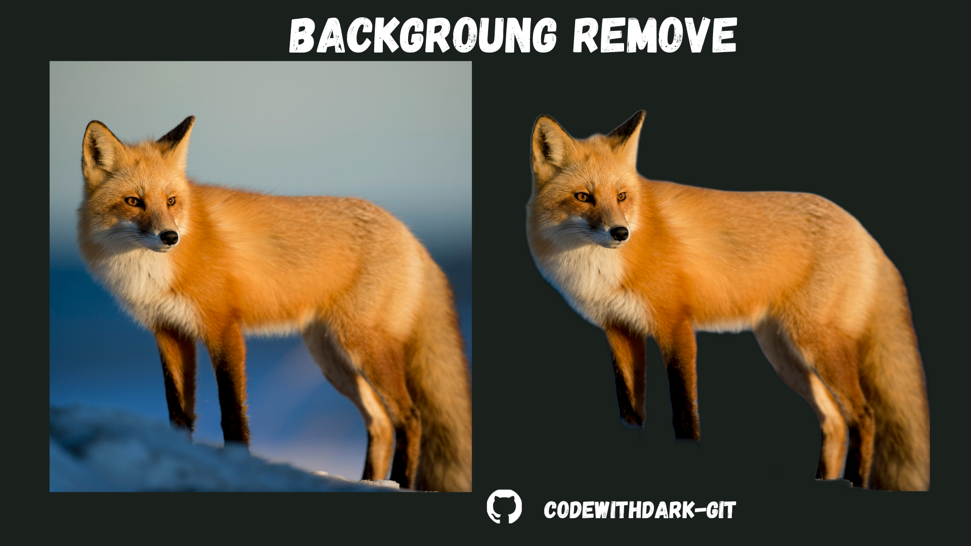 Background_remove.png